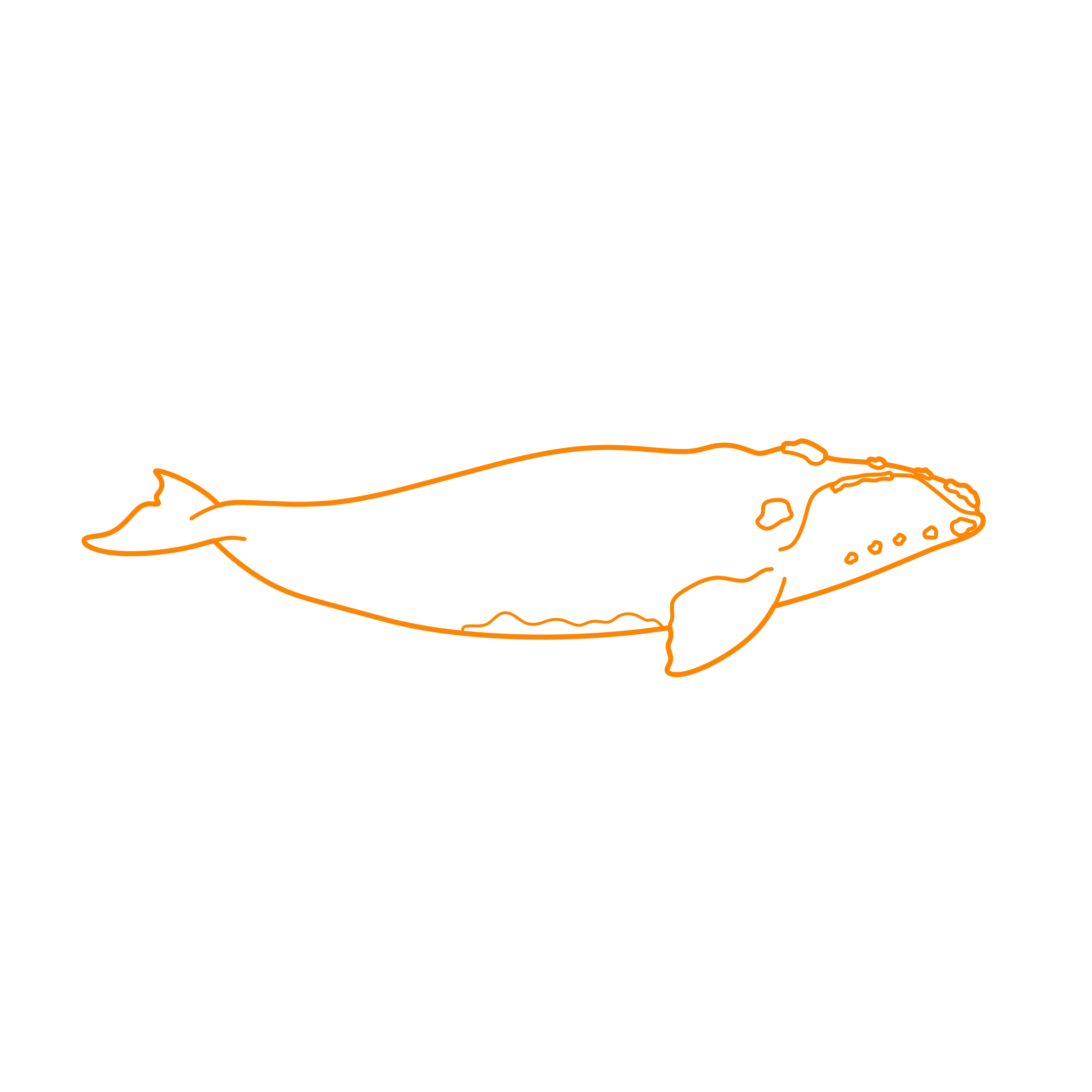 Animals Baleen Whales Southern Right Whale Line Art Svg Vector Free Vectors